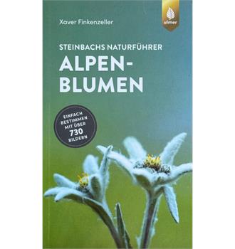 Alpenblumen Steinbachs