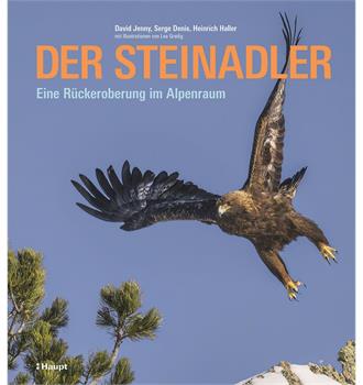 Der Steinadler, Eine Rückeroberung im Alpenraum