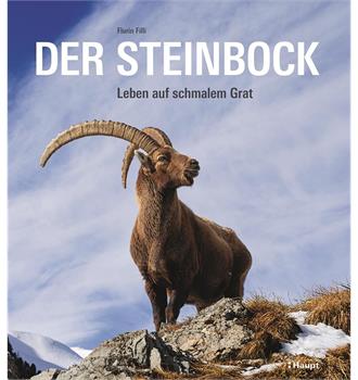 Der Steinbock, Leben auf schmalem Grat