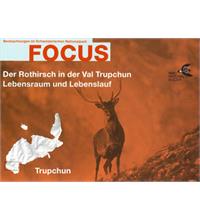 Focus Der Rothirsch in der Val Trupchun
