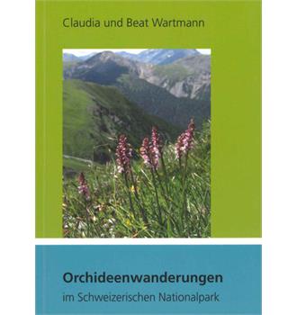 In den Himmel wachsen