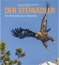 Der Steinadler, eine Rückeroberung im Alpenraum