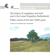 The history of vegetation and land use in the Lower Engadine