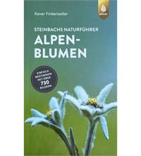 Alpenblumen Steinbachs