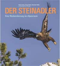 Der Steinadler, Eine Rückeroberung im Alpenraum