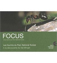 Focus Les fourmis du Parc National Suisse