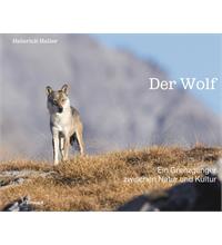 Der Wolf