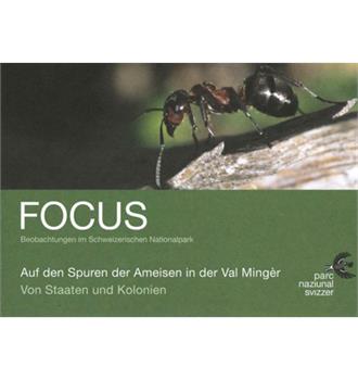 Focus Auf den Spuren der Ameisen in der Val Mingèr